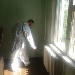 Вывести тараканов в квартире в Иркутске