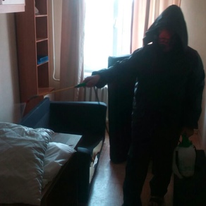 Выведение тараканов в квартире с гарантией в Иркутске