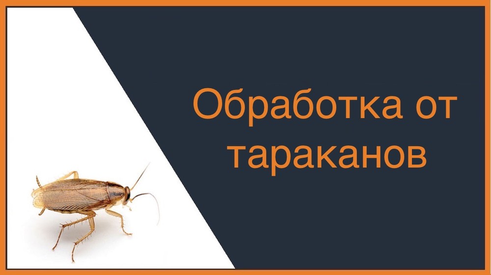 Обработка от тараканов в Иркутске