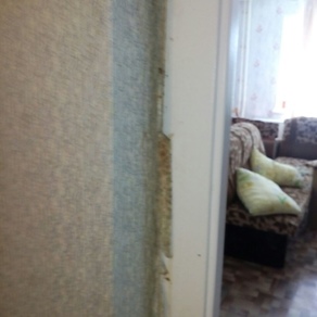 Уничтожение клопов в квартире с гарантией Иркутск