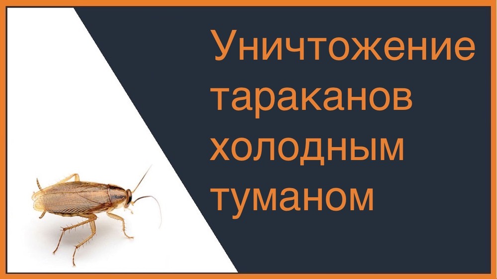 Уничтожение тараканов холодным туманом в Иркутске