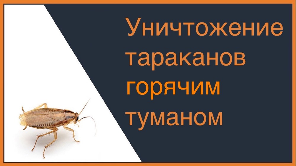 Уничтожение тараканов горячим туманом в Иркутске